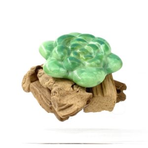 3" diameter bright green glass succulent with rounded leaves and darker green accents mounted on a small pile of driftwood