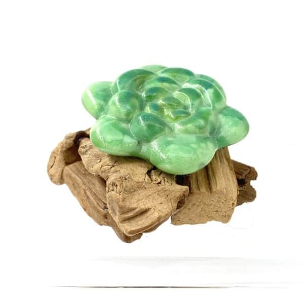 3" diameter bright green glass succulent with rounded leaves and darker green accents mounted on a small pile of driftwood