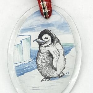 penguin on ice floe